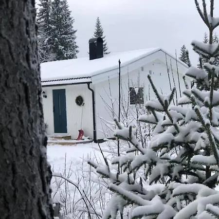 Feriehus Cozy In Peaceful Surroundings *