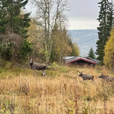 Cozy In Peaceful Surroundings Feriehus Lillehammer